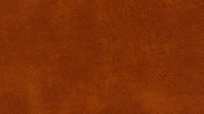 Schlussverkauf 🎁 Willi Schillig Sofas Sofa 18050 Around-the-block 🛒 6 Schlussverkauf 🎁 Willi Schillig Sofas Sofa 18050 Around-the-block 🛒 – Bild 6