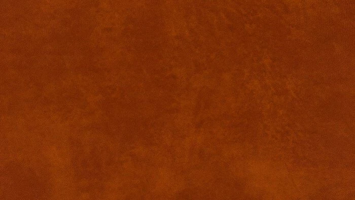 Auslauf ⌛ W. Schillig Black Label Zubehör Kopfstütze Foscaari 🤩 3 Auslauf ⌛ W. Schillig Black Label Zubehör Kopfstütze Foscaari 🤩 – Bild 3