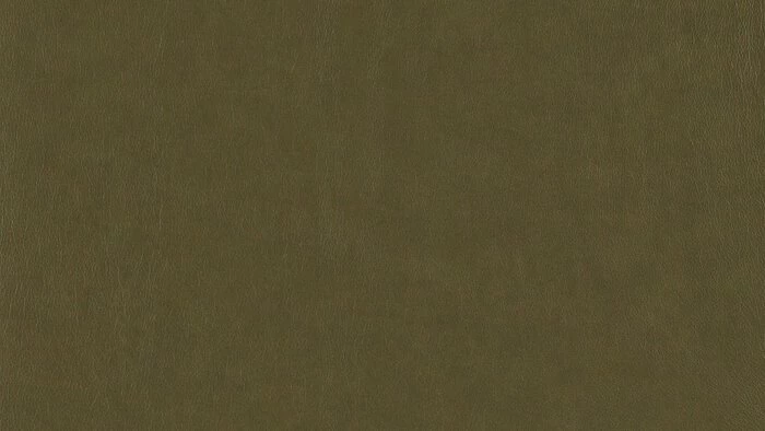 Angebote 💯 Willi Schillig Zubehör Kopfstütze 16582 Samiraa 🥰 3 Angebote 💯 Willi Schillig Zubehör Kopfstütze 16582 Samiraa 🥰 – Bild 3