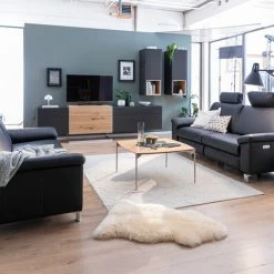 Sofas & Couches Verkäufe -Sofas & Couches Verkäufe FJPG S700 943