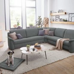 Sofas & Couches Verkäufe -Sofas & Couches Verkäufe FJPG S700 971